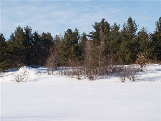 Ottawa country living in town at the Saddlebrooke Estates