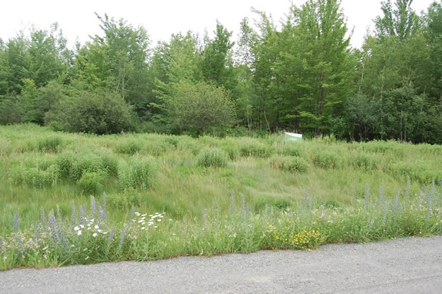 Ottawa country lots for sale at the Saddlebrooke Estates