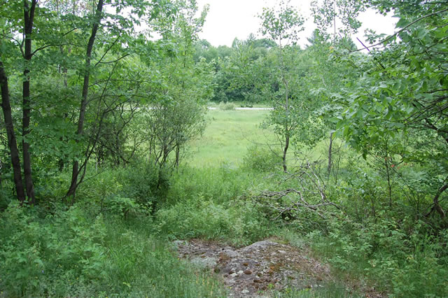 Ottawa country living in town at the Saddlebrooke Estates