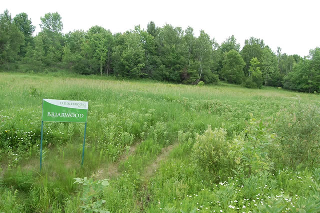 Ottawa country lots for sale at the Saddlebrooke Estates