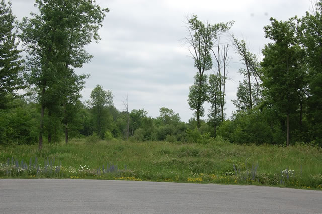 Ottawa country lots for sale at the Saddlebrooke Estates