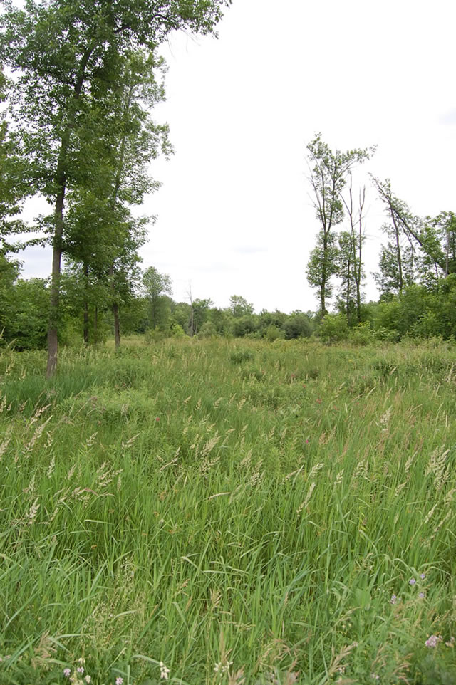 Ottawa country lots for sale at the Saddlebrooke Estates