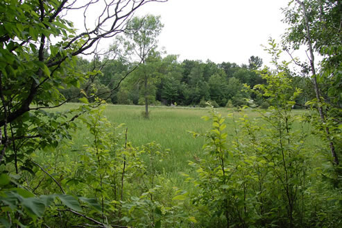 Ottawa country lots for sale at the Saddlebrooke Estates