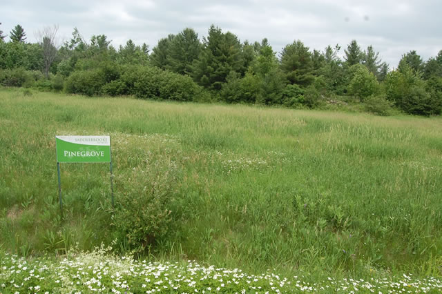 Ottawa country lots for sale at the Saddlebrooke Estates